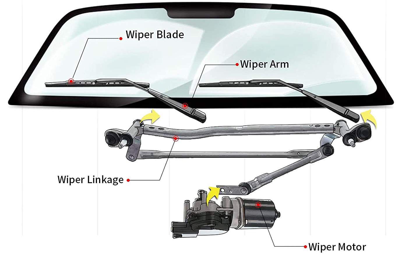 brushed motor windshield wiper